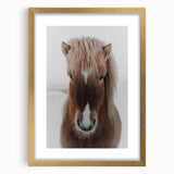 Winter Horse Portrait - Rustic Farmhouse Animal Art