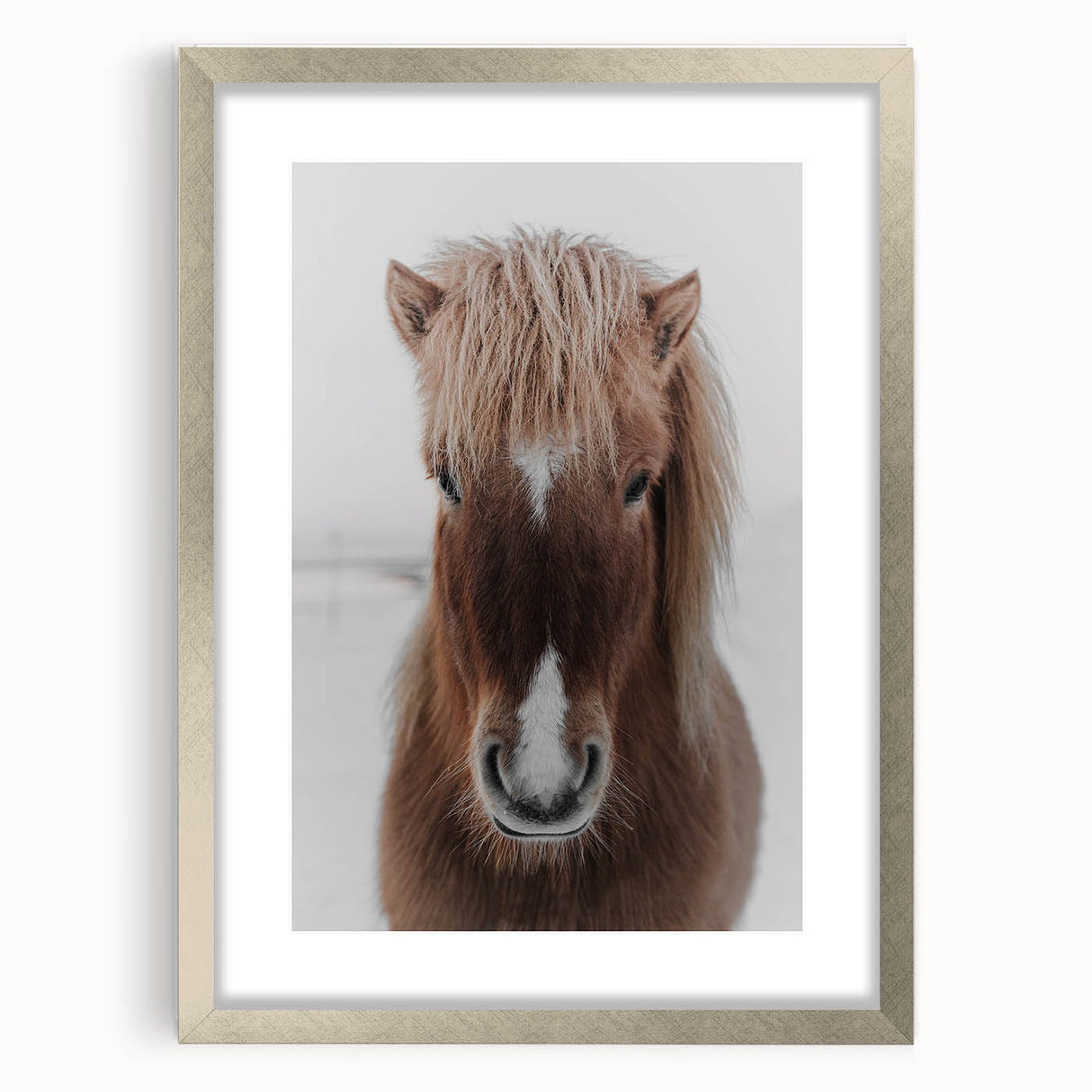 Winter Horse Portrait - Rustic Farmhouse Animal Art