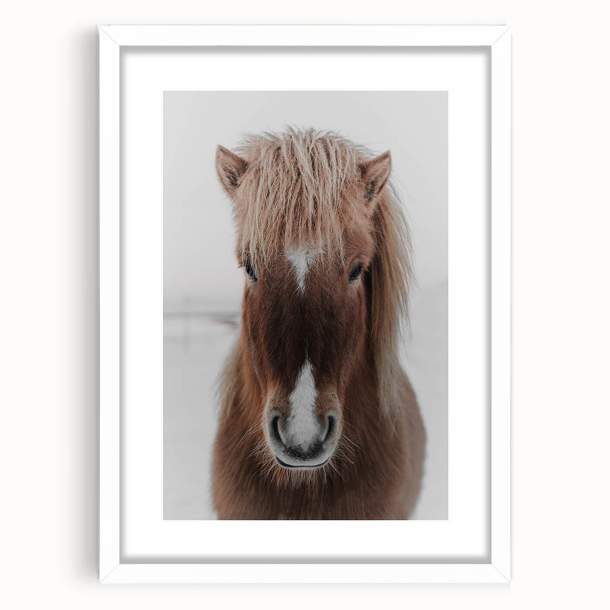 Winter Horse Portrait - Rustic Farmhouse Animal Art