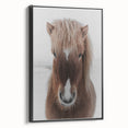 Winter Horse Portrait - Rustic Farmhouse Animal Art