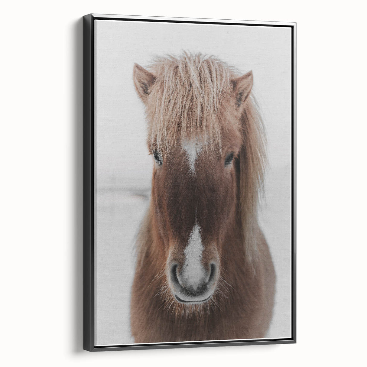 Winter Horse Portrait - Rustic Farmhouse Animal Art
