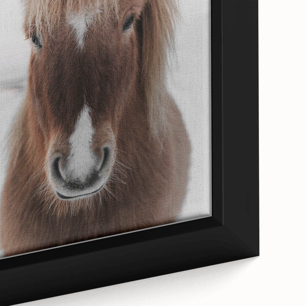 Winter Horse Portrait - Rustic Farmhouse Animal Art