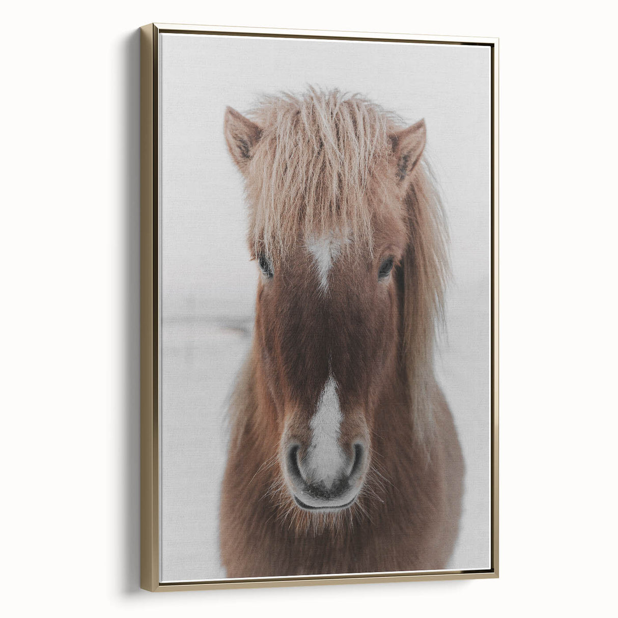Winter Horse Portrait - Rustic Farmhouse Animal Art