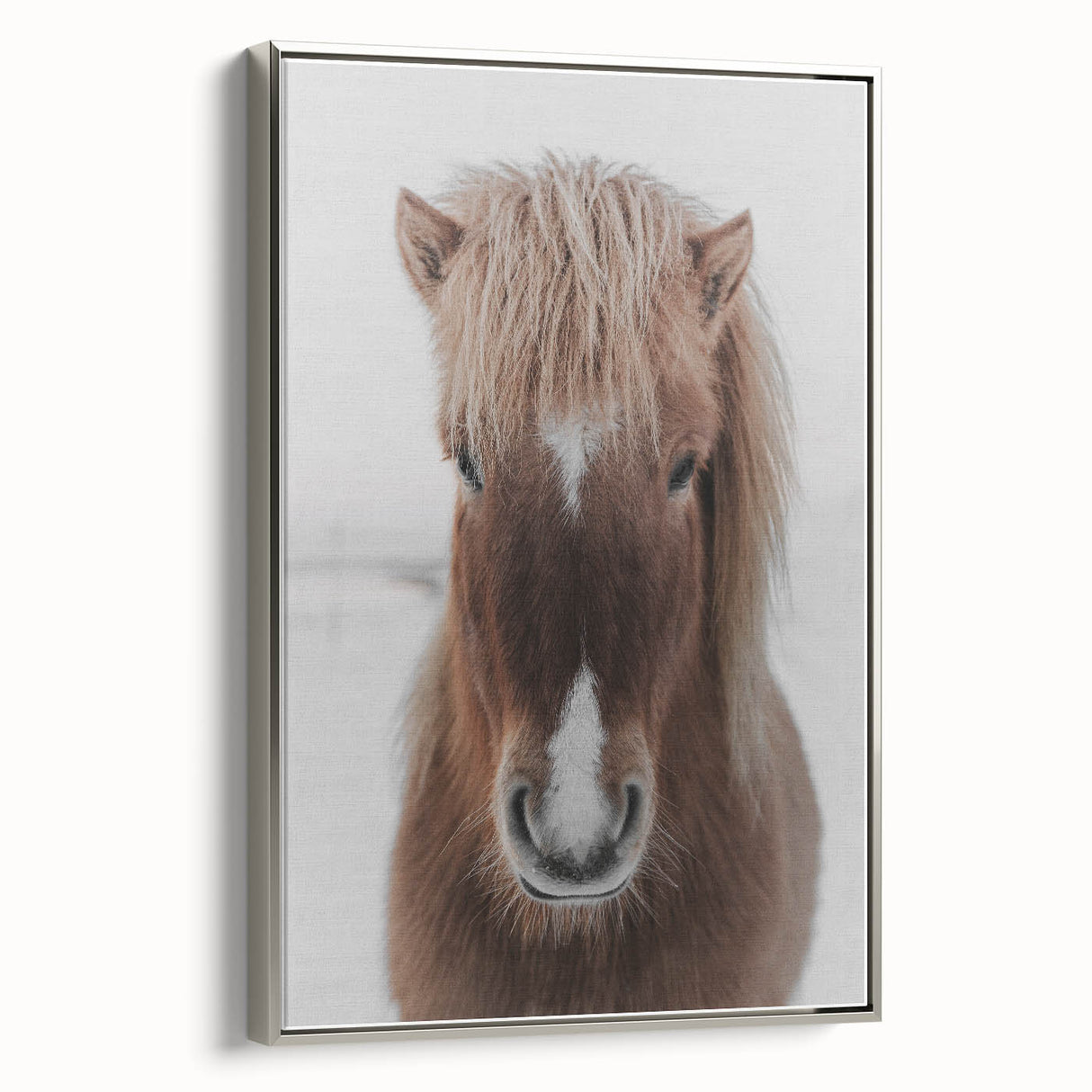 Winter Horse Portrait - Rustic Farmhouse Animal Art