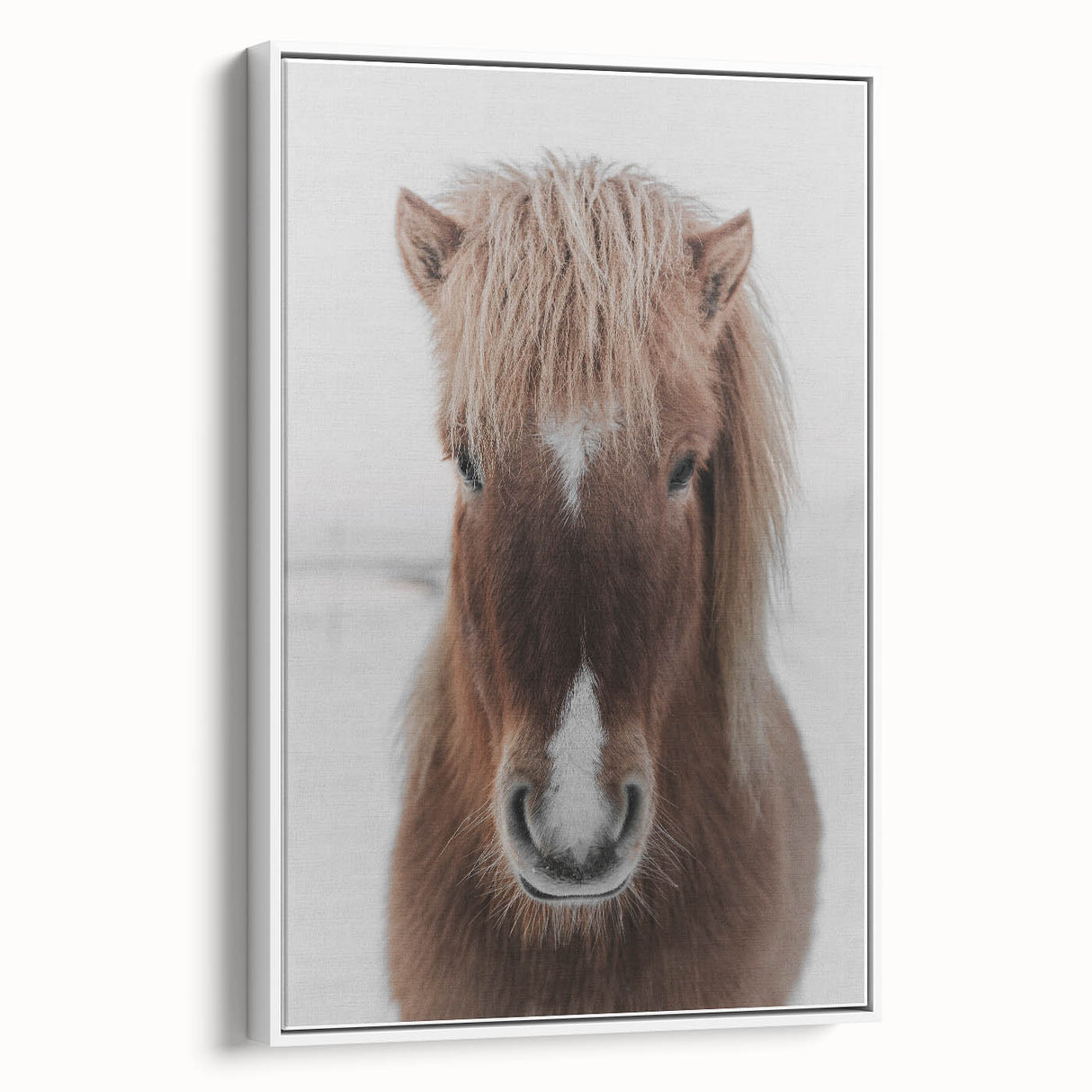 Winter Horse Portrait - Rustic Farmhouse Animal Art