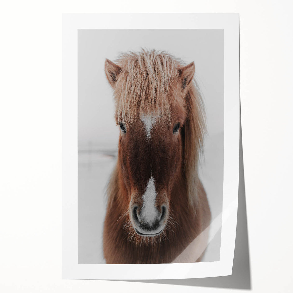 Winter Horse Portrait - Rustic Farmhouse Animal Art