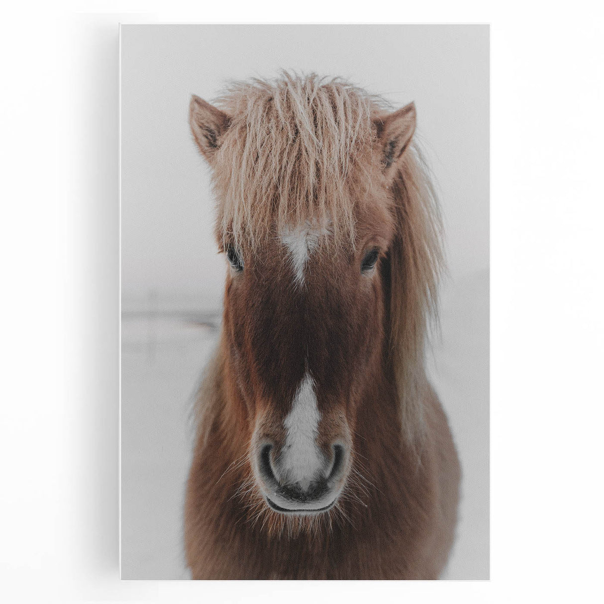 Winter Horse Portrait - Rustic Farmhouse Animal Art