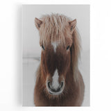 Winter Horse Portrait - Rustic Farmhouse Animal Art