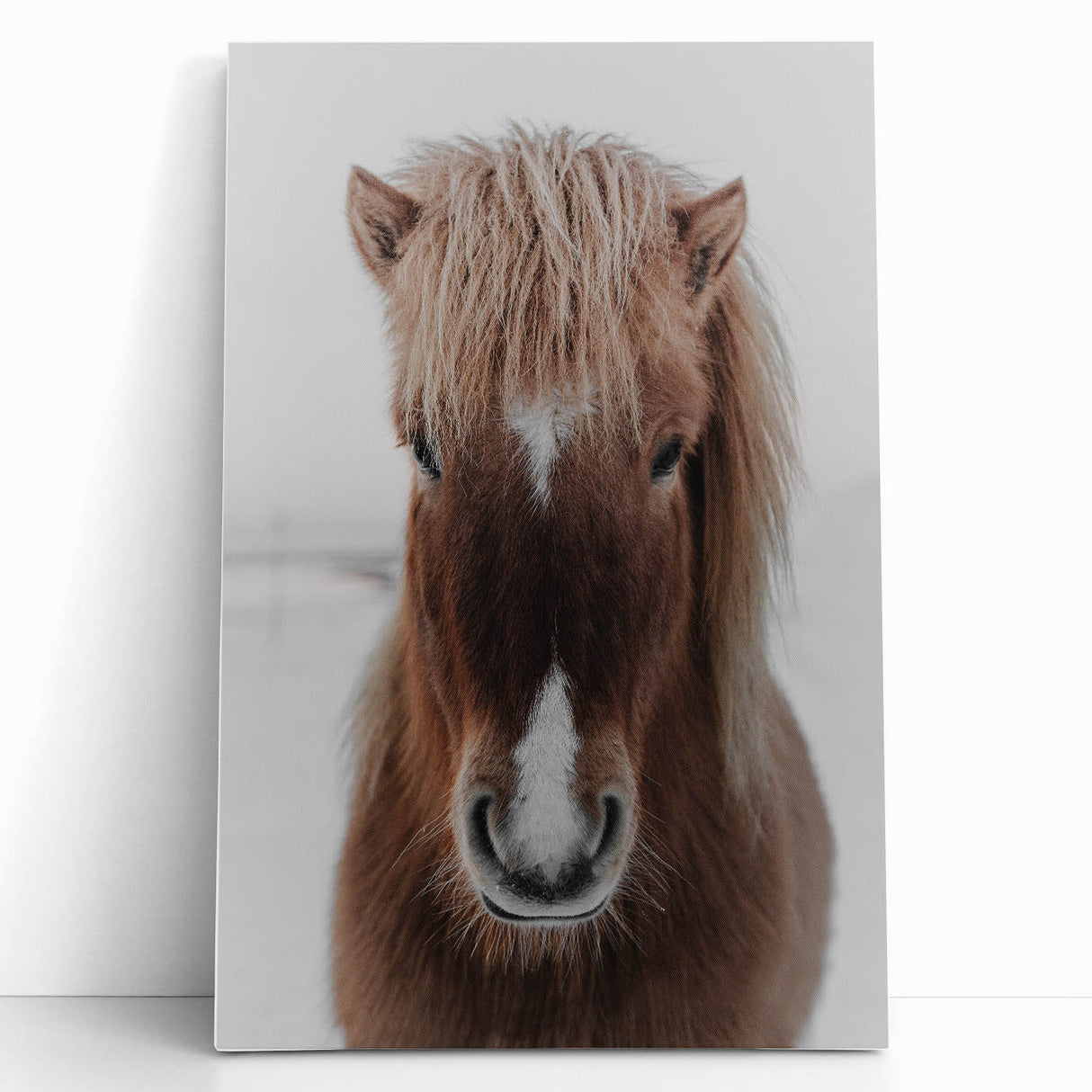 Winter Horse Portrait - Rustic Farmhouse Animal Art