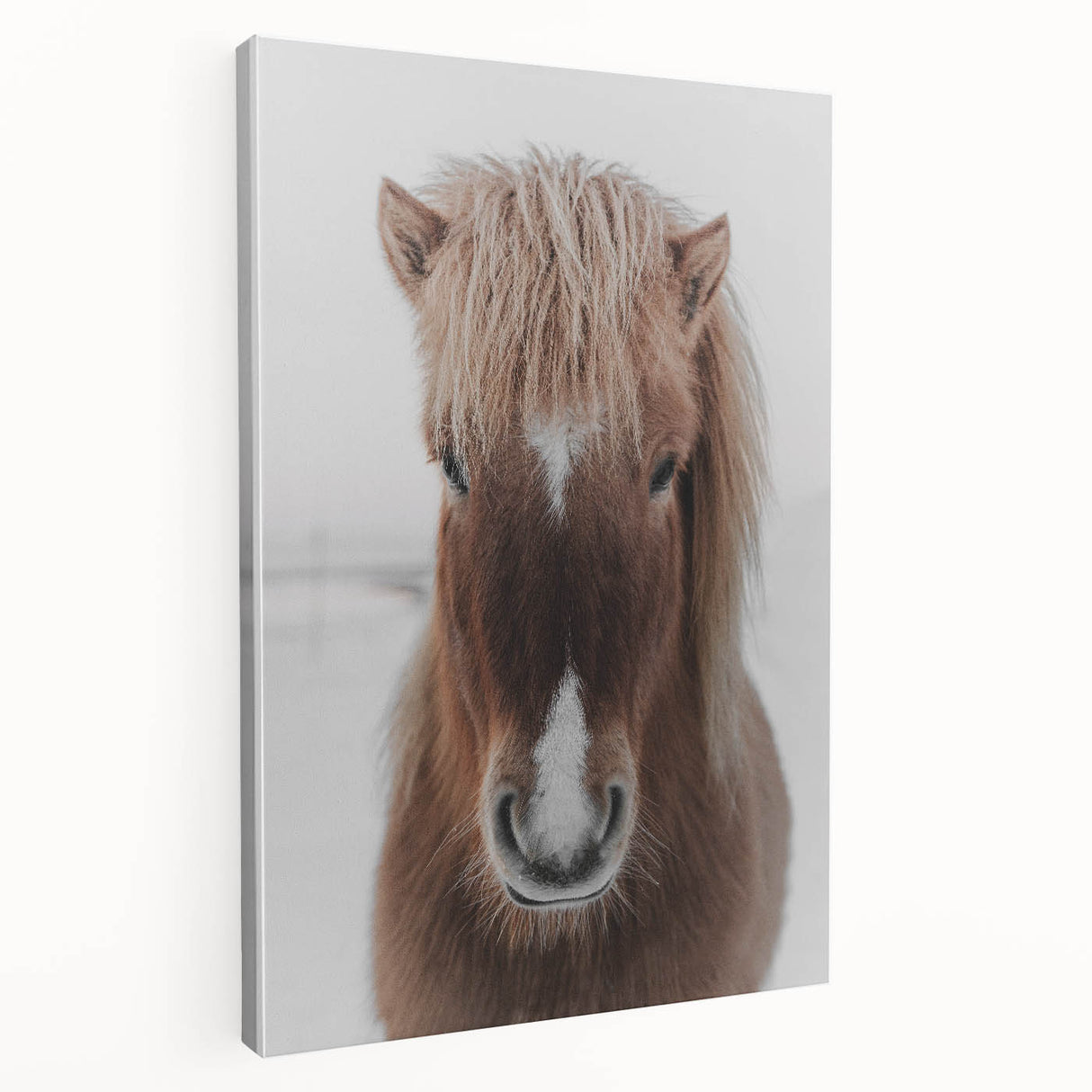 Winter Horse Portrait - Rustic Farmhouse Animal Art