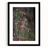 Rustic Wall Art - Camouflaged Nature Scene for Farmhouse Decor