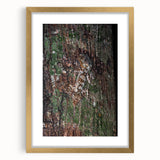 Rustic Wall Art - Camouflaged Nature Scene for Farmhouse Decor