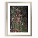 Rustic Wall Art - Camouflaged Nature Scene for Farmhouse Decor