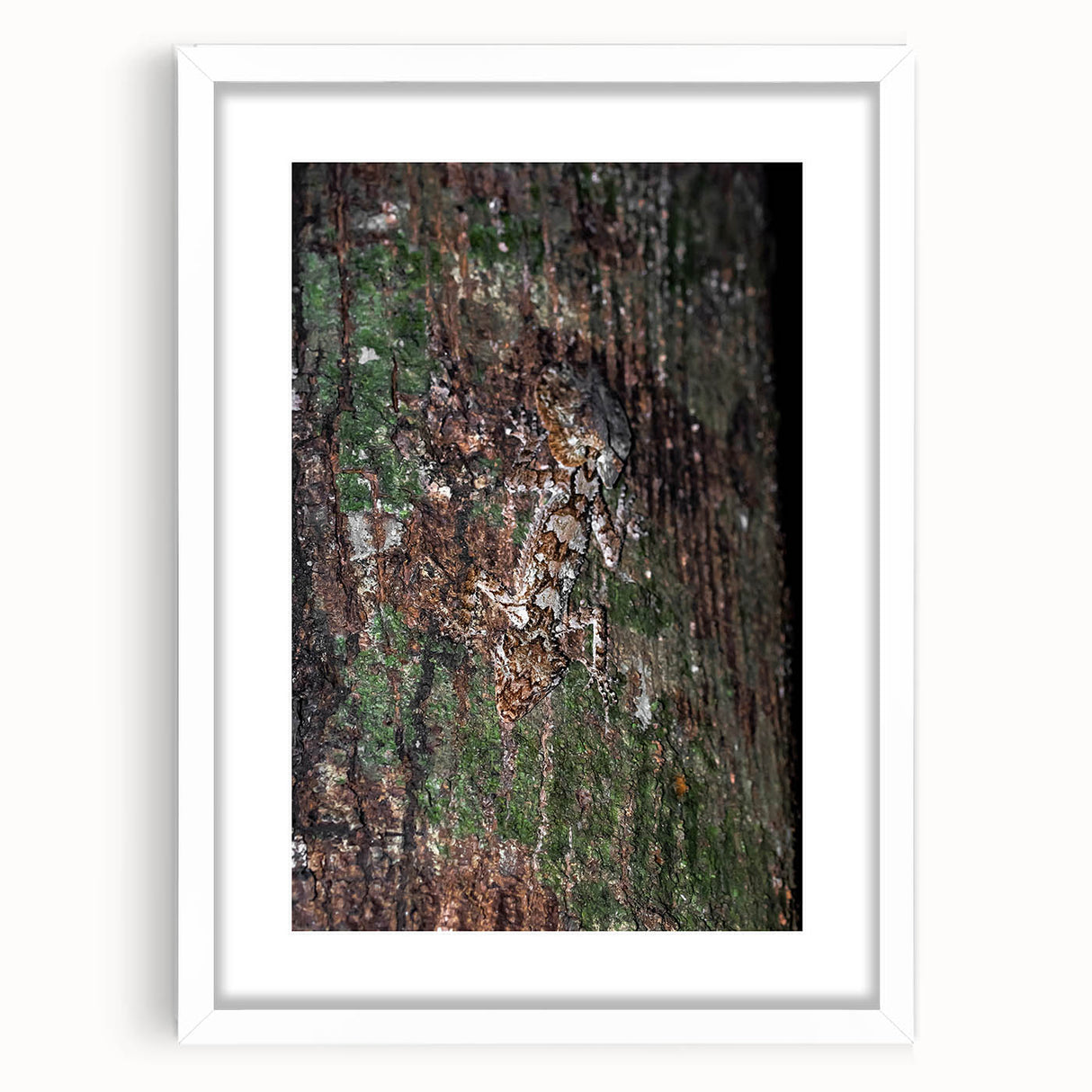 Rustic Wall Art - Camouflaged Nature Scene for Farmhouse Decor