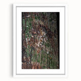 Rustic Wall Art - Camouflaged Nature Scene for Farmhouse Decor