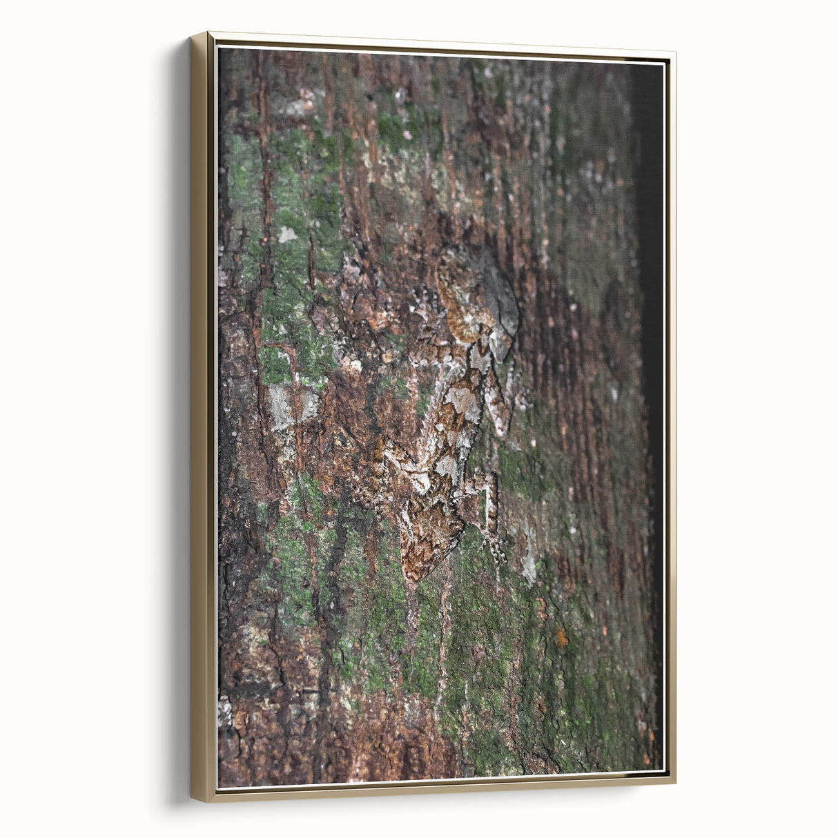 Rustic Wall Art - Camouflaged Nature Scene for Farmhouse Decor