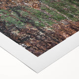 Rustic Wall Art - Camouflaged Nature Scene for Farmhouse Decor