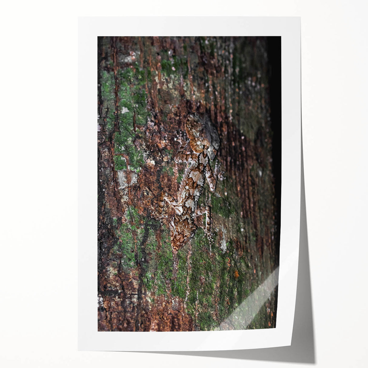 Rustic Wall Art - Camouflaged Nature Scene for Farmhouse Decor