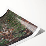 Rustic Wall Art - Camouflaged Nature Scene for Farmhouse Decor