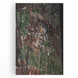 Rustic Wall Art - Camouflaged Nature Scene for Farmhouse Decor
