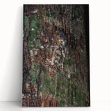 Rustic Wall Art - Camouflaged Nature Scene for Farmhouse Decor