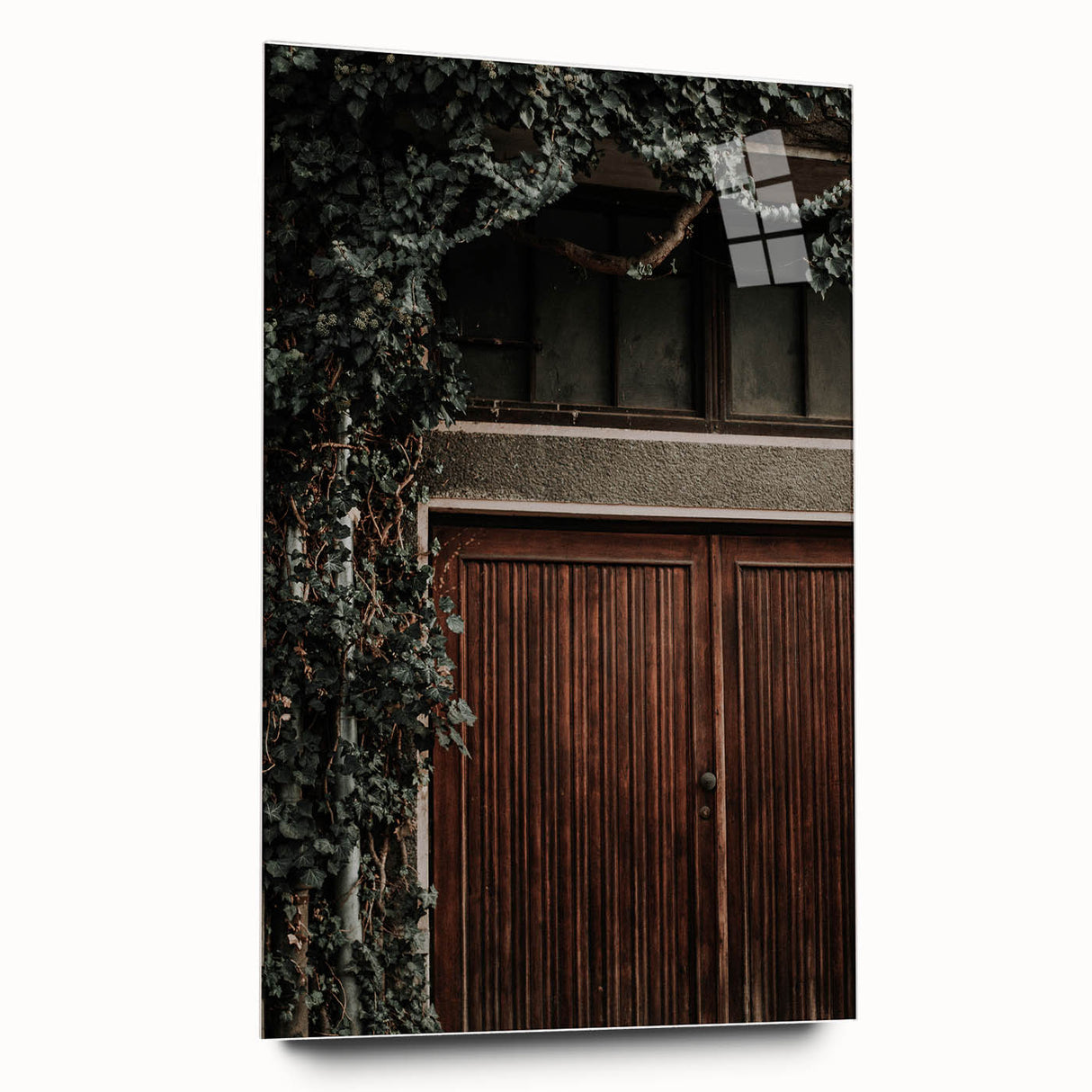 Rustic Wall Art - Ivy-Covered Wooden Door for Farmhouse Decor
