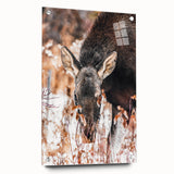 Forest Forager - Rustic Moose Portrait Art"