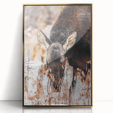 Forest Forager - Rustic Moose Portrait Art"