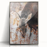 Forest Forager - Rustic Moose Portrait Art"