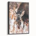 Forest Forager - Rustic Moose Portrait Art"
