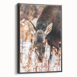 Forest Forager - Rustic Moose Portrait Art"