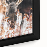 Forest Forager - Rustic Moose Portrait Art"