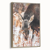 Forest Forager - Rustic Moose Portrait Art"