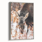 Forest Forager - Rustic Moose Portrait Art"