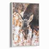 Forest Forager - Rustic Moose Portrait Art"
