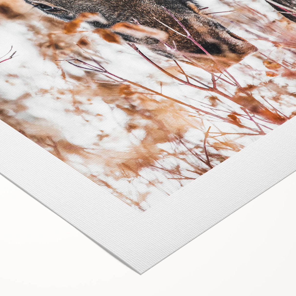 Forest Forager - Rustic Moose Portrait Art"