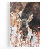 Forest Forager - Rustic Moose Portrait Art"