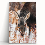 Forest Forager - Rustic Moose Portrait Art"