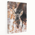 Forest Forager - Rustic Moose Portrait Art"
