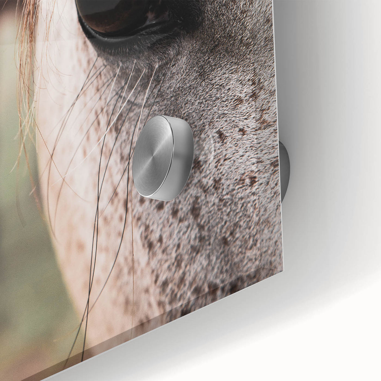 Rustic Wall Art - Horse Close-Up Farmhouse Decor for Rustic Homes