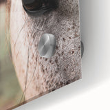 Rustic Wall Art - Horse Close-Up Farmhouse Decor for Rustic Homes