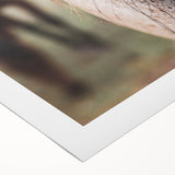 Rustic Wall Art - Horse Close-Up Farmhouse Decor for Rustic Homes