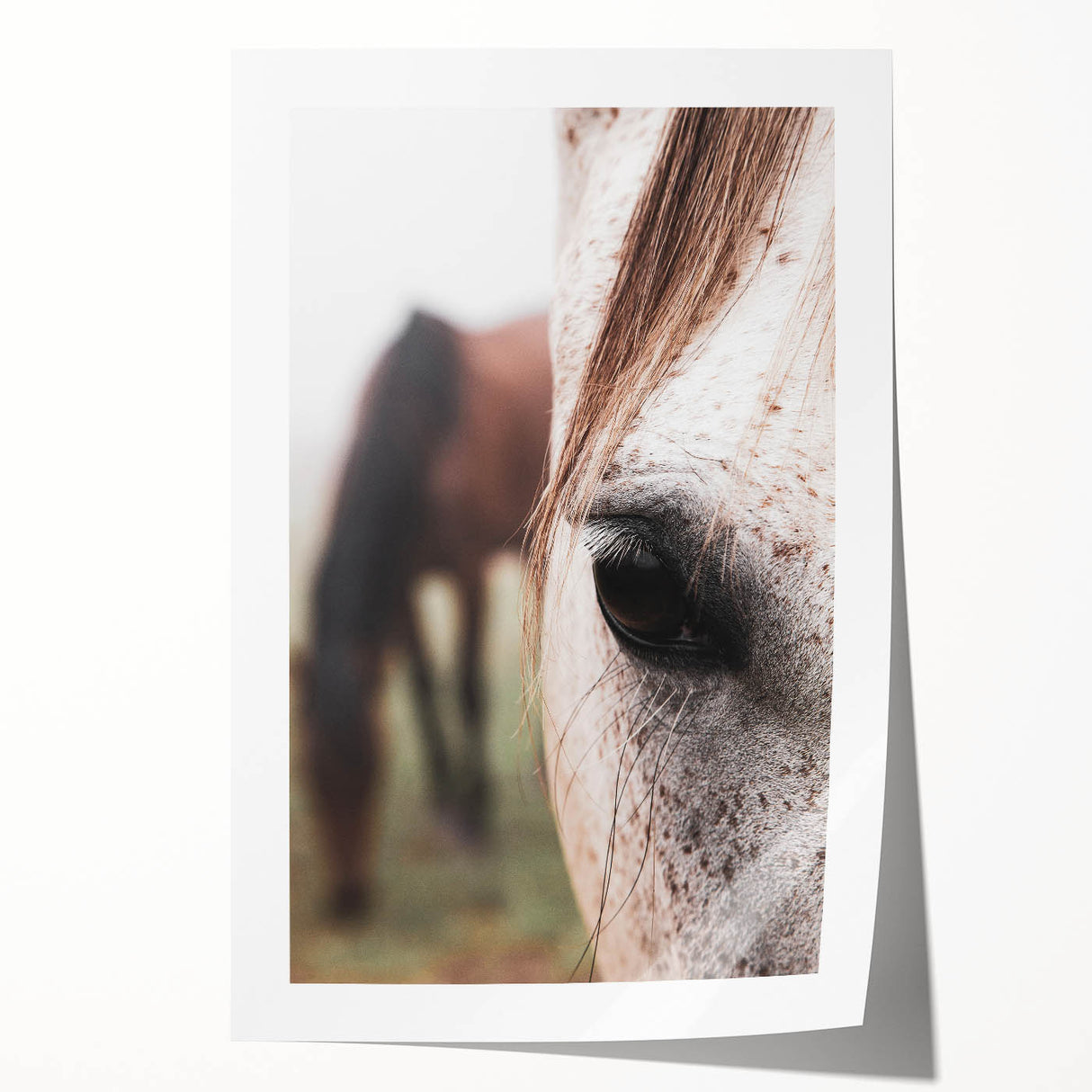 Rustic Wall Art - Horse Close-Up Farmhouse Decor for Rustic Homes