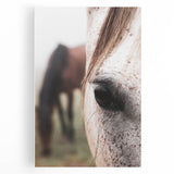 Rustic Wall Art - Horse Close-Up Farmhouse Decor for Rustic Homes