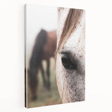Rustic Wall Art - Horse Close-Up Farmhouse Decor for Rustic Homes