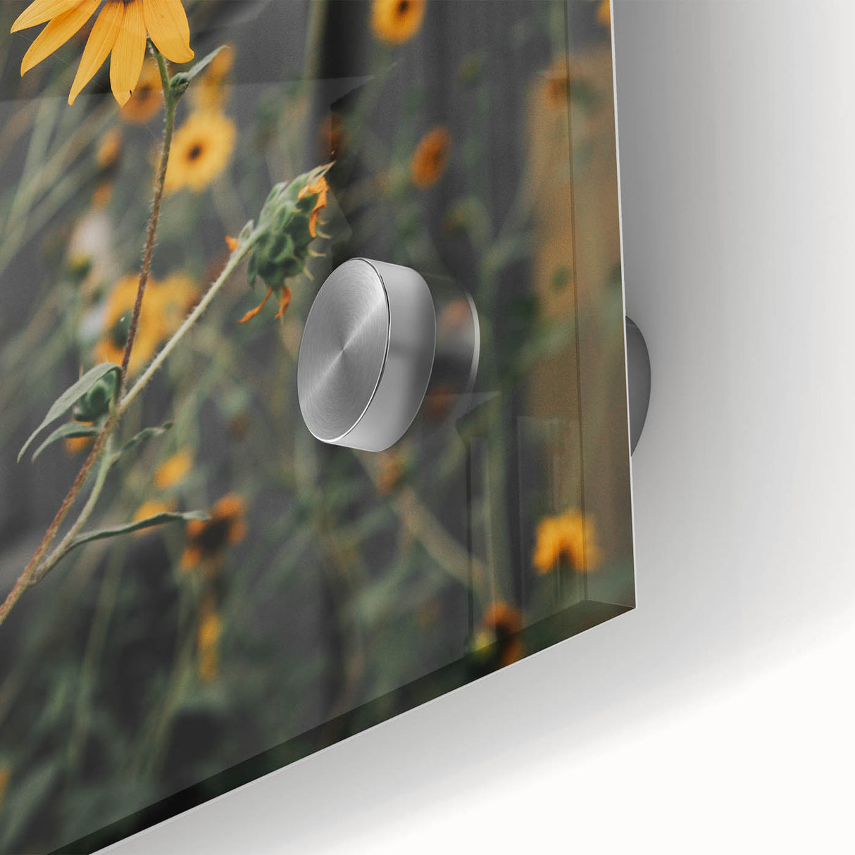 Rustic Wall Art - Sunflower Bloom Farmhouse Decor for Rustic Homes