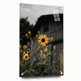 Rustic Wall Art - Sunflower Bloom Farmhouse Decor for Rustic Homes