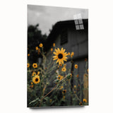 Rustic Wall Art - Sunflower Bloom Farmhouse Decor for Rustic Homes