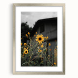 Rustic Wall Art - Sunflower Bloom Farmhouse Decor for Rustic Homes