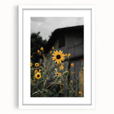 Rustic Wall Art - Sunflower Bloom Farmhouse Decor for Rustic Homes